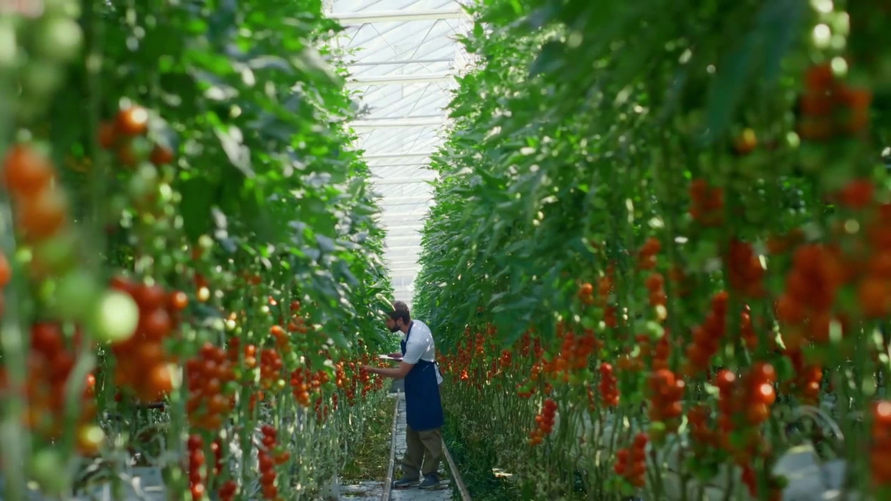 Agroalimentare, bando da 1,2 miliardi