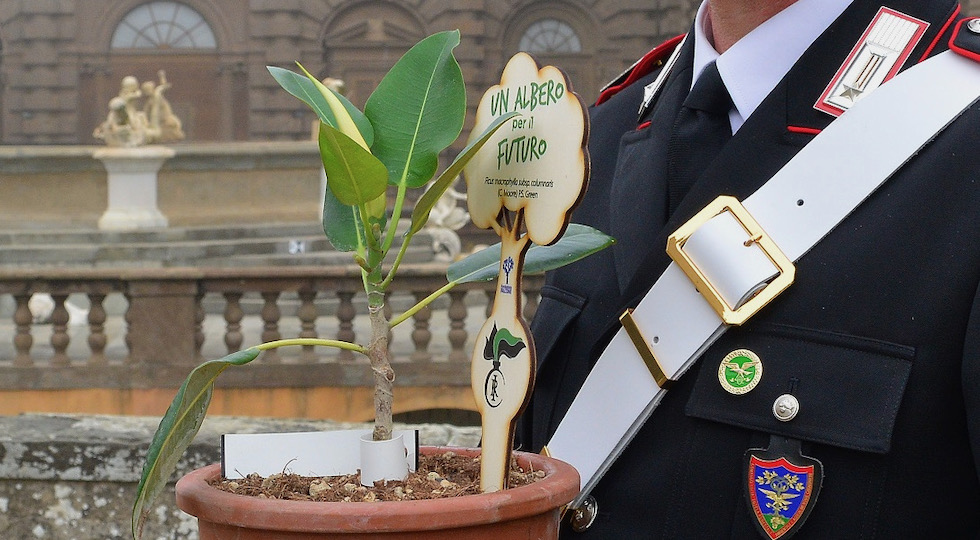 Carabinieri, approda nel nisseno l’Albero di Falcone: progetto nazionale di educazione ambientale “un albero per il futuro”