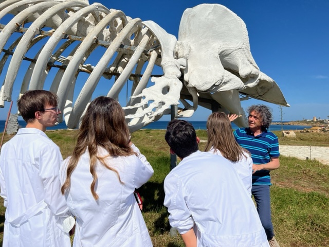 IISS “L. Russo” di Caltanissetta a Mazara del Vallo con 24 alunni delle classi quarte: progetto “Biodiversità, Scienze e Tecnologie per la Sostenibilità Ambientale”