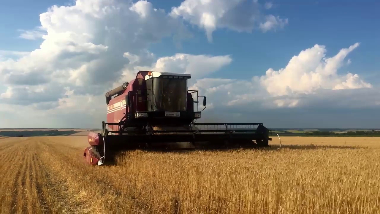 Arriva il bonus agricoltura, domande dal 20 settembre