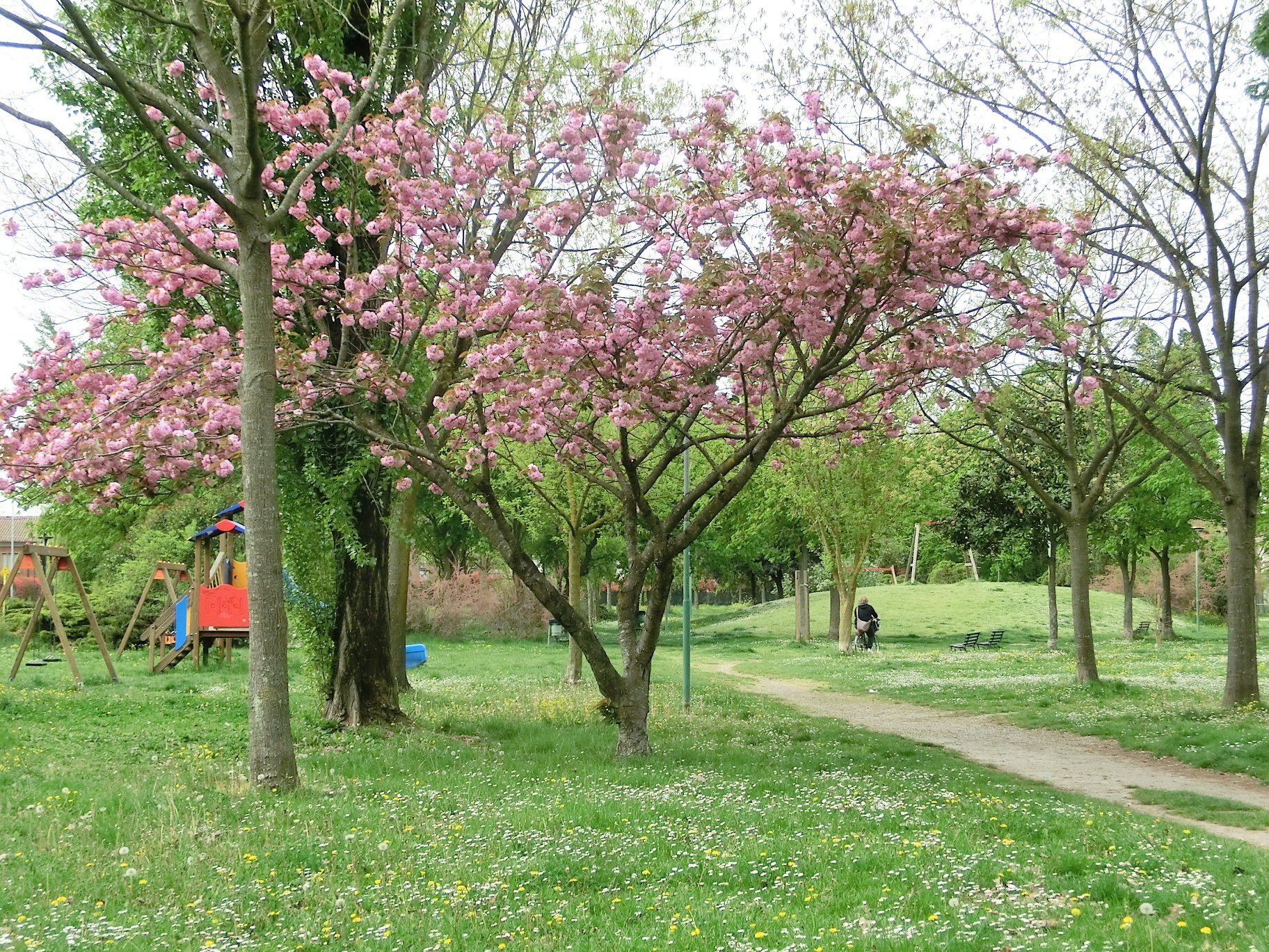 Multa salata per due giovani che facevano sesso in un parco pubblico