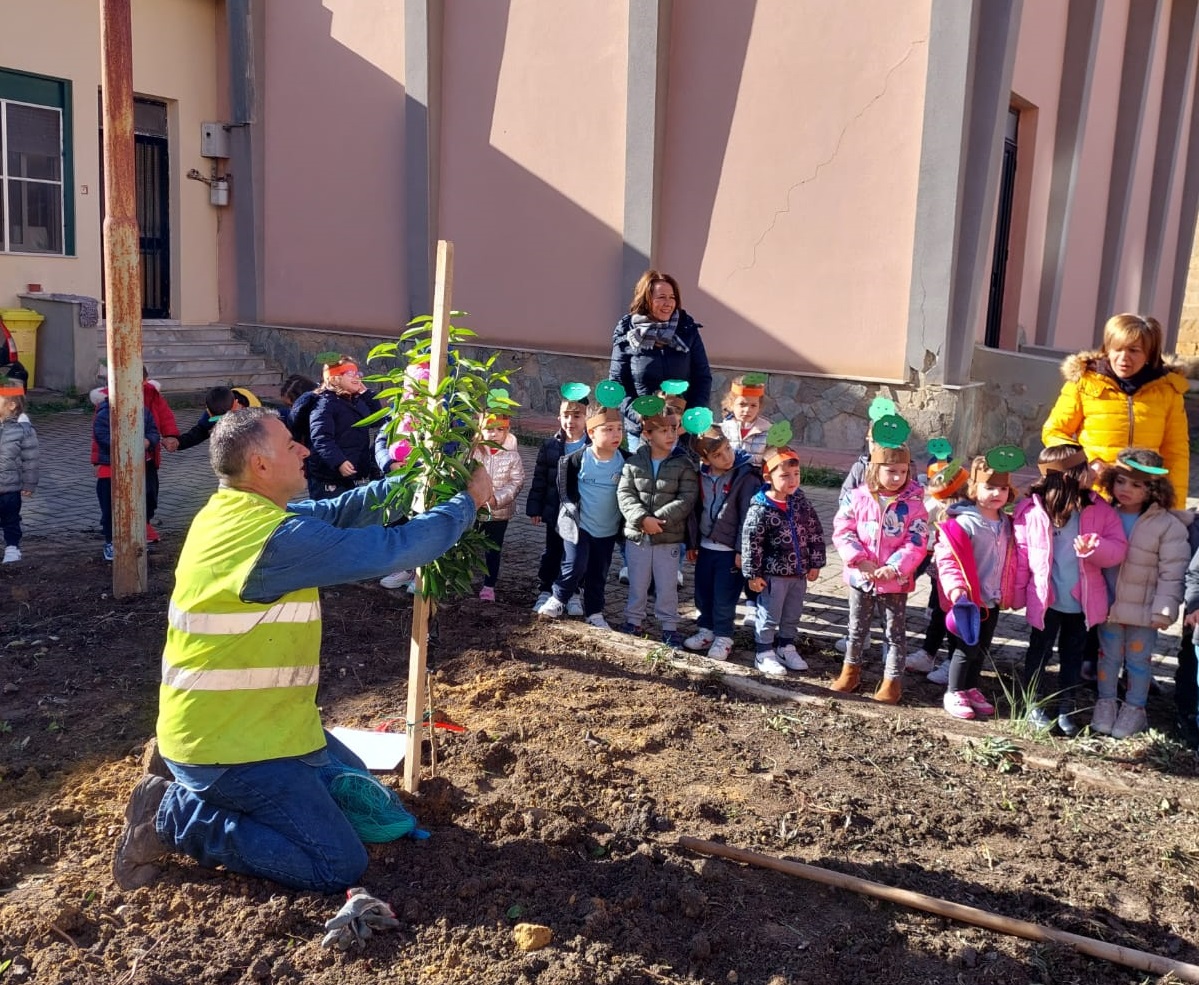 Caltanissetta, alla Santa Petronilla si celebra la “Festa dell’albero”