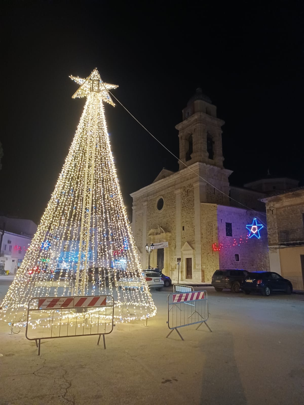 Delia. Accese le luminarie e l’albero di Natale in piazza Madrice