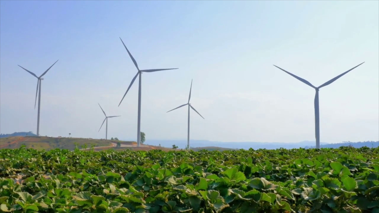 Dall’Europa un miliardo all’Italia per la transizione green