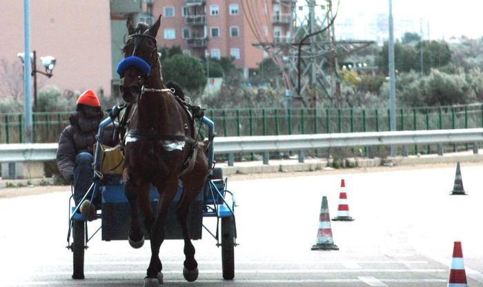 Smart working negato: impiegata va al lavoro a cavallo per protesta