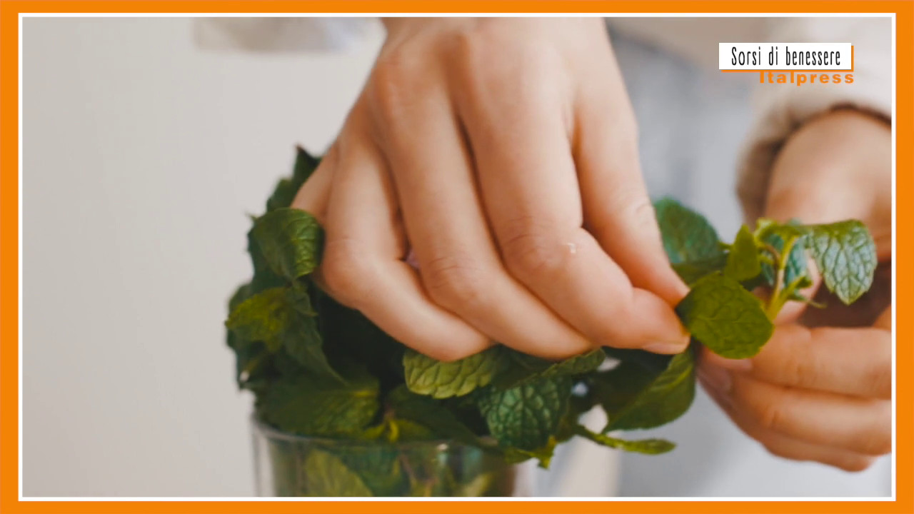 Sorsi Di Benessere Timo E Menta Per Una Tisana Alleata Della Gola Il Fatto Nisseno