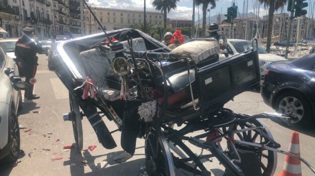 Cavallo imbizzarrito a Palermo, tre feriti. In ospedale il cocchiere, due turisti e l’animale