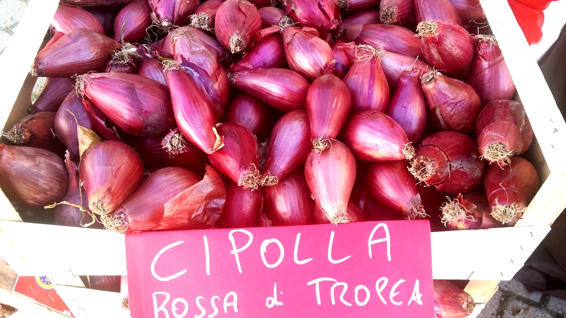 Cipolla rossa di Tropea è alleata della salute: intesa tra consorzio e nutrizionisti, “Eccezionale nel gusto, anche cruda”