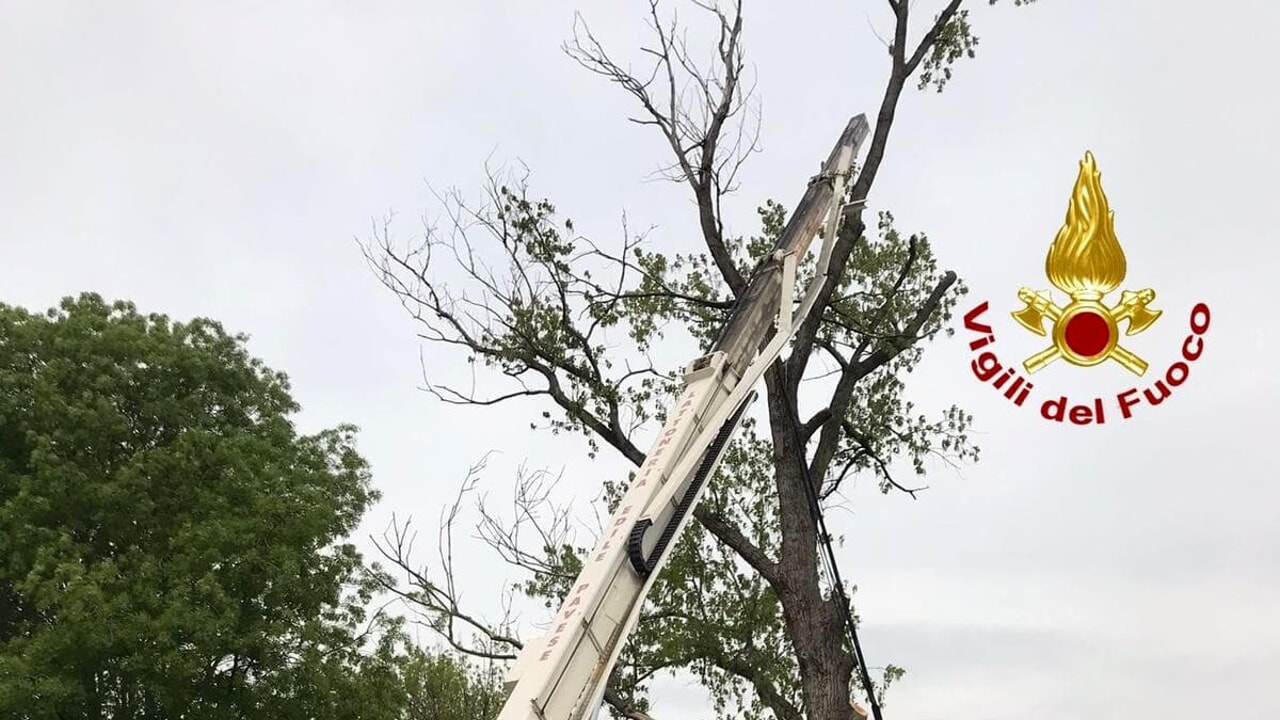 Cede piattaforma con operai che stavano potando un albero: due morti e un ferito grave