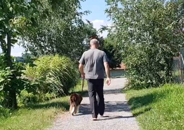 Salute: passeggiare con il cane aumenta il rischio di incidenti