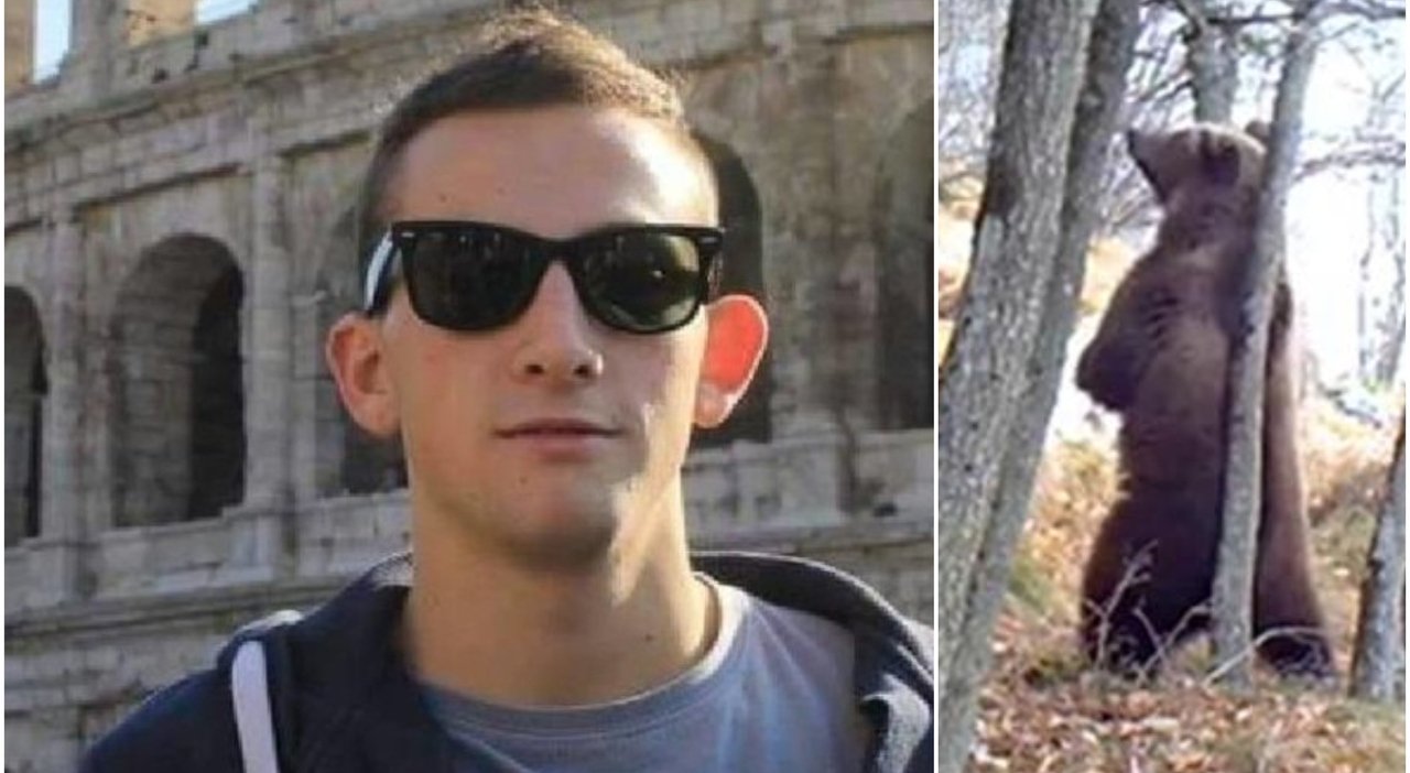 Uomo morto nel bosco, si analizza dna su bastone insanguinato: ucciso da orso?