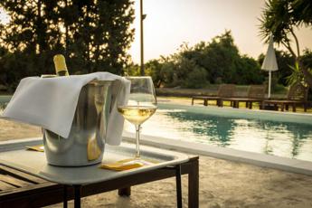 Cantine con piscina o piscine tra le vigne: il connubio perfetto per l’estate