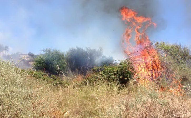 Incendi in Sicilia tra problematiche forestali e gestionali