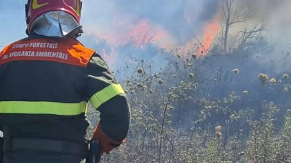 Rogo vicino a serre nel Messinese, domato da corpo Forestale