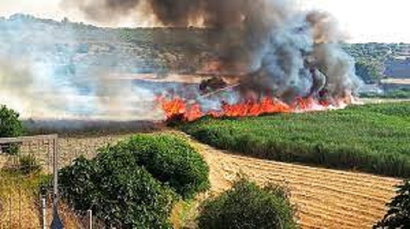 Incendi, Pagana: «Contatto costante con prefetture e sindaci, in servizio gli elicotteri del Corpo Forestale»