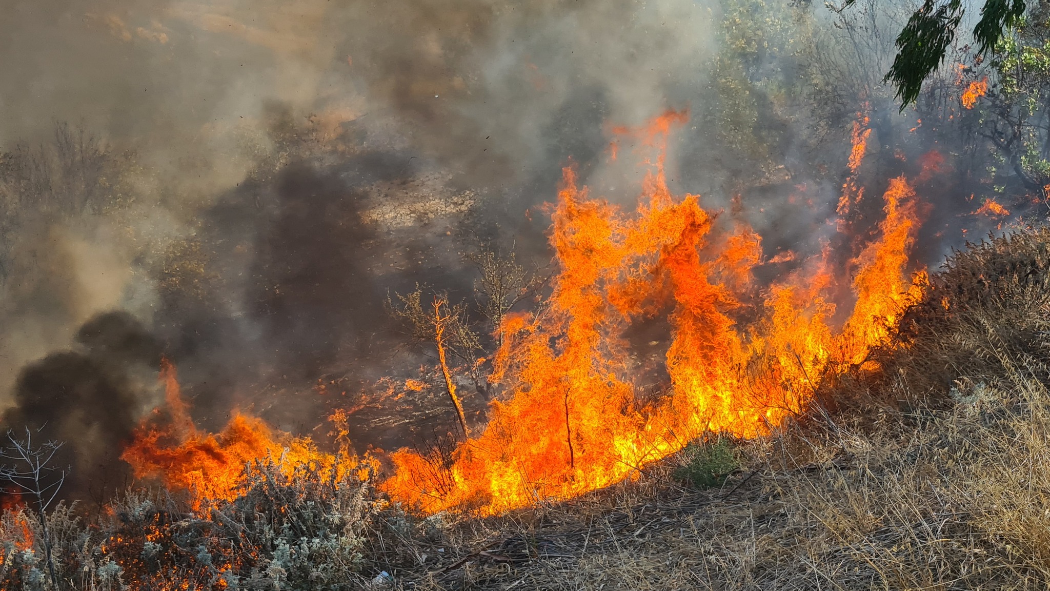 Incendio a Marianopoli. Sindaco Noto: “Ognuno deve fare la sua parte, altrimenti sarà un calvario di distruzione e devastazione”