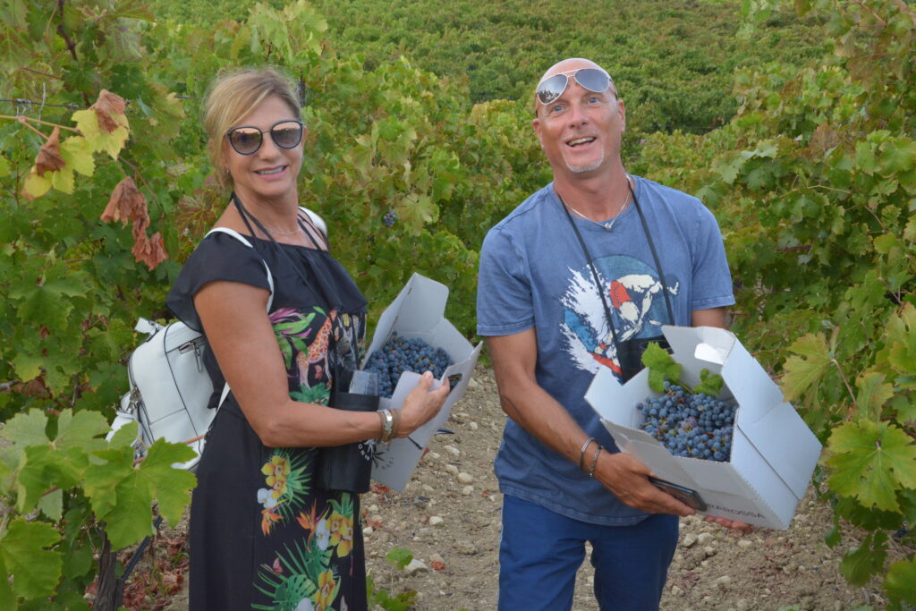 Sicilia, vendemmia turistica: una nuova iniziativa per gli amanti dell’enoturismo