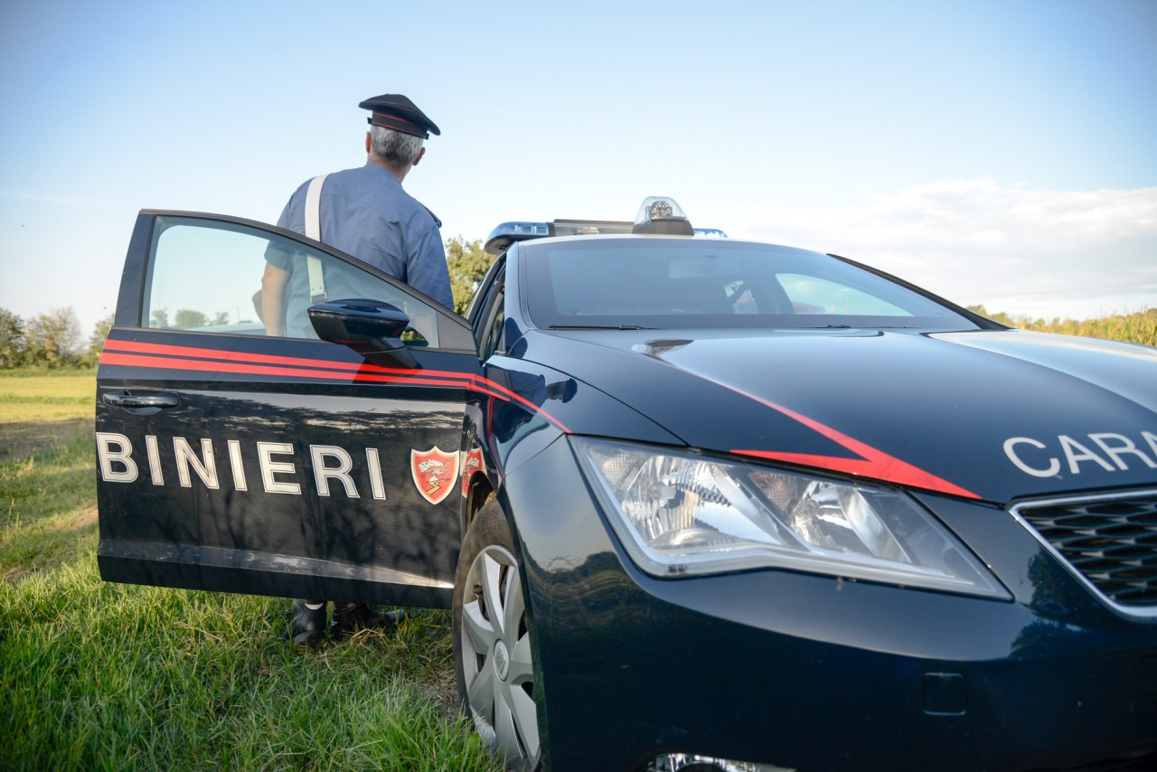 Morta una donna di 77 anni incornata da un montone mentre stava lavorando in giardino