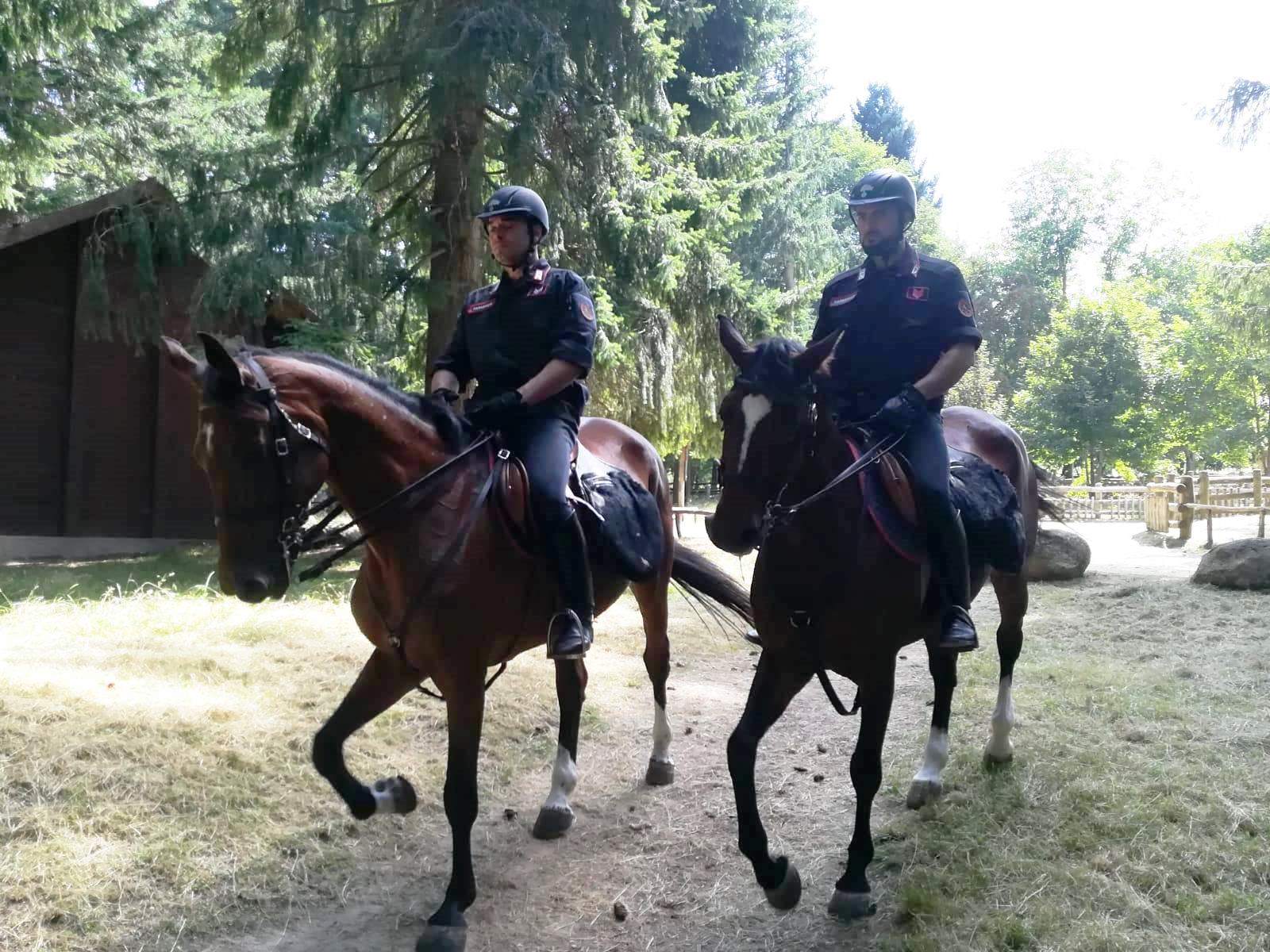 Droga. Carabinieri a cavallo inseguono e arrestano pusher