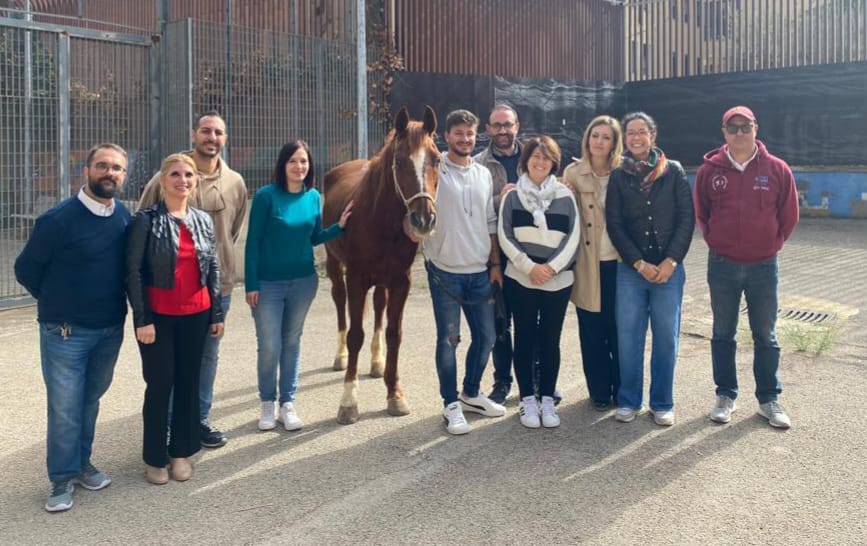 Caltanissetta, all’IPM la cavalla Luna insegna empatia e fiducia ai detenuti