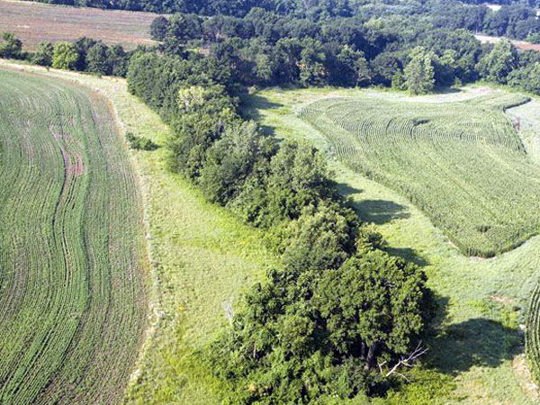 La soluzione degli ingegneri naturalistici: “fasce vegetate per fermare le alluvioni”