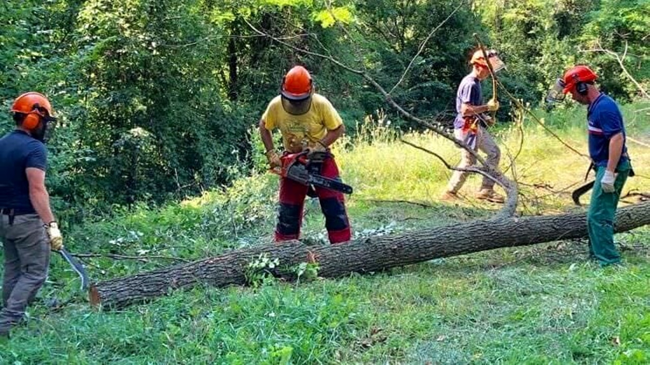 Mussomeli, incontro dei forestali all’Auditorium “Lillo Zucchetto” sui problemi categoria. Venerdì pomeriggio ore 17,30