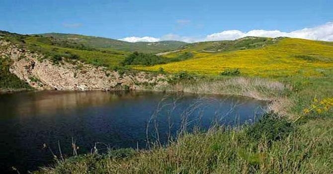 Giornata degli alberi: martedì il WWF presente con un evento a Lago Sfondato