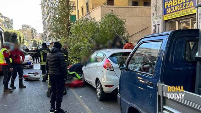 Maltempo: morta donna e sei feriti da alberi abbattuti dal vento, inchiesta per omicidio