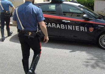 Grosseto, neonato morto trovato su nave da crociera: madre accusata di omicidio