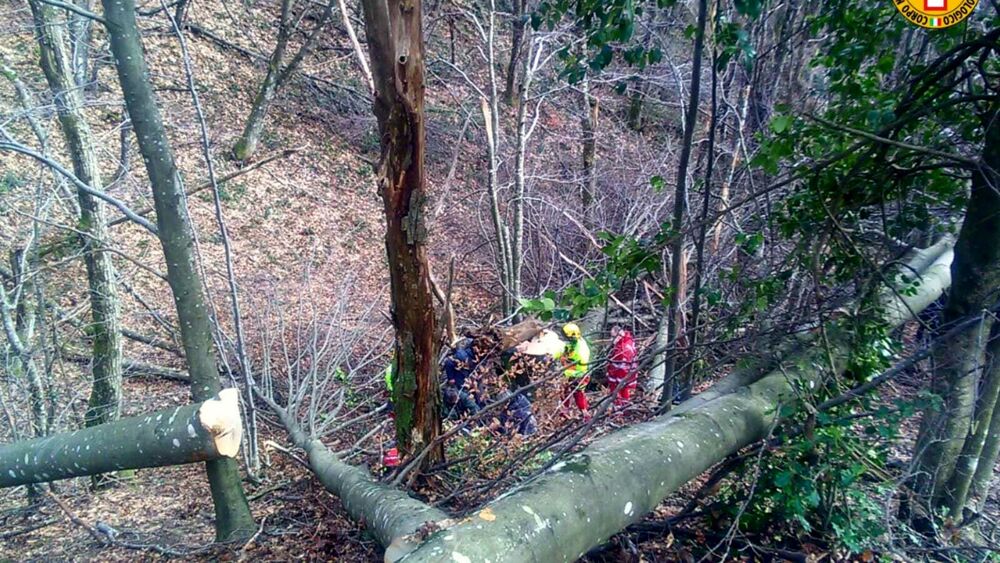 Incidente sul lavoro: operaio di 27 anni morto schiacciato da un tronco