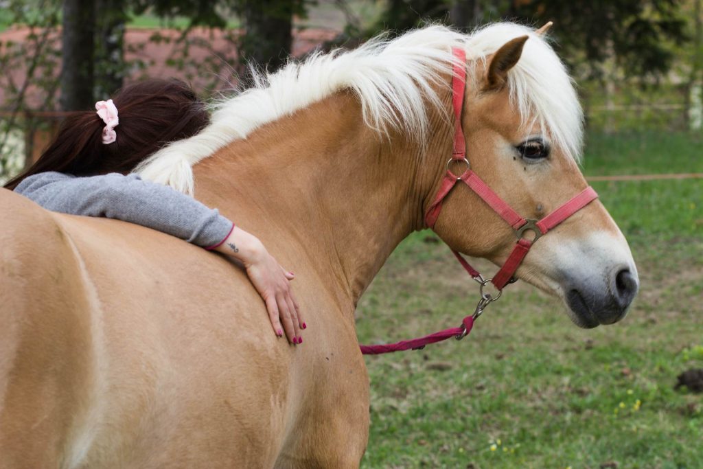 Devianza minorile in Sicilia. Il reinserimento parte dallo sport equestre come occasione di riscatto sociale