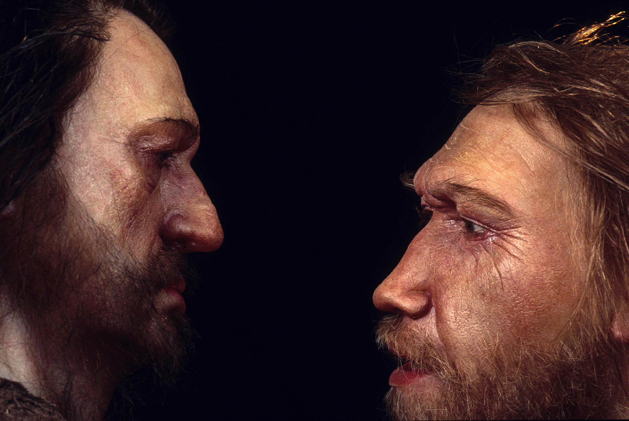 L’Homo sapiens sbarcò nella gelida Europa già 47mila anni fa: confermata la compresenza con i Neanderthal.