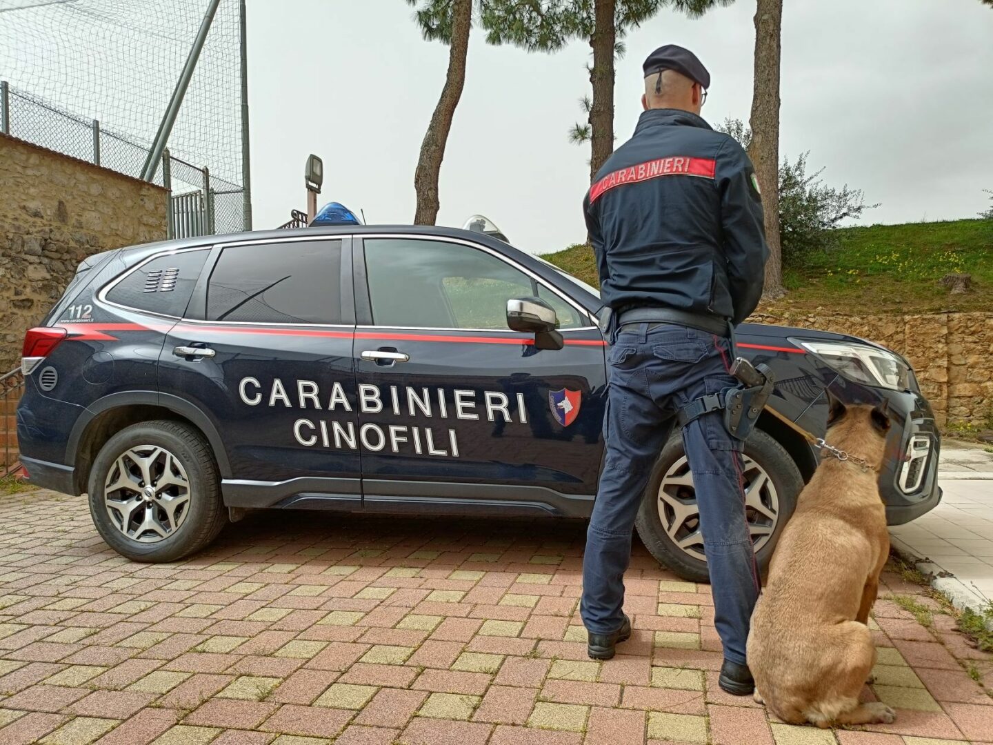 Stampava soldi e documenti falsi e in casa aveva armi, un arresto a Palermo