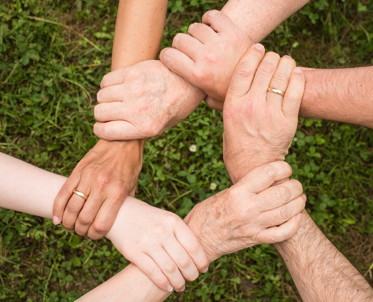 Società e attualità. Attivismo civico, quando il cittadino contribuisce al cambiamento sociale attraverso l’inclusione e la solidarietà