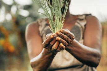 I cambiamenti climatici influenzano le disuguaglianze di genere, come e quanto?