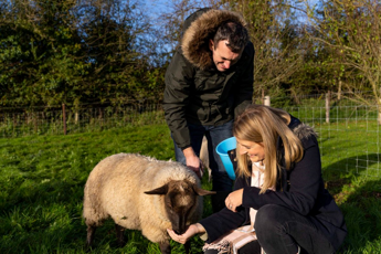 L’Irlanda cerca amici della natura, vitto e alloggio in cambio di aiuto