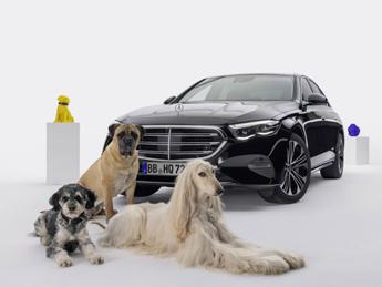 Mercedes MBUX Bark Assist: l’assistente vocale per gli amici a quattro zampe