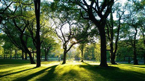 Caltanissetta, sempre più… “verde”: 2 maggio nel quartiere Balate – Pinzelli si inaugura il Parco Urbano “Rosario Assunto”