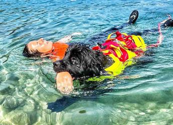 Estate, Sics: “Cani salvataggio pronti a tuffarsi per sicurezza spiagge italiane e laghi”