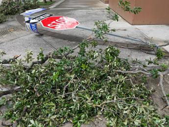 Tornado in Texas, almeno 5 morti e oltre 60 feriti