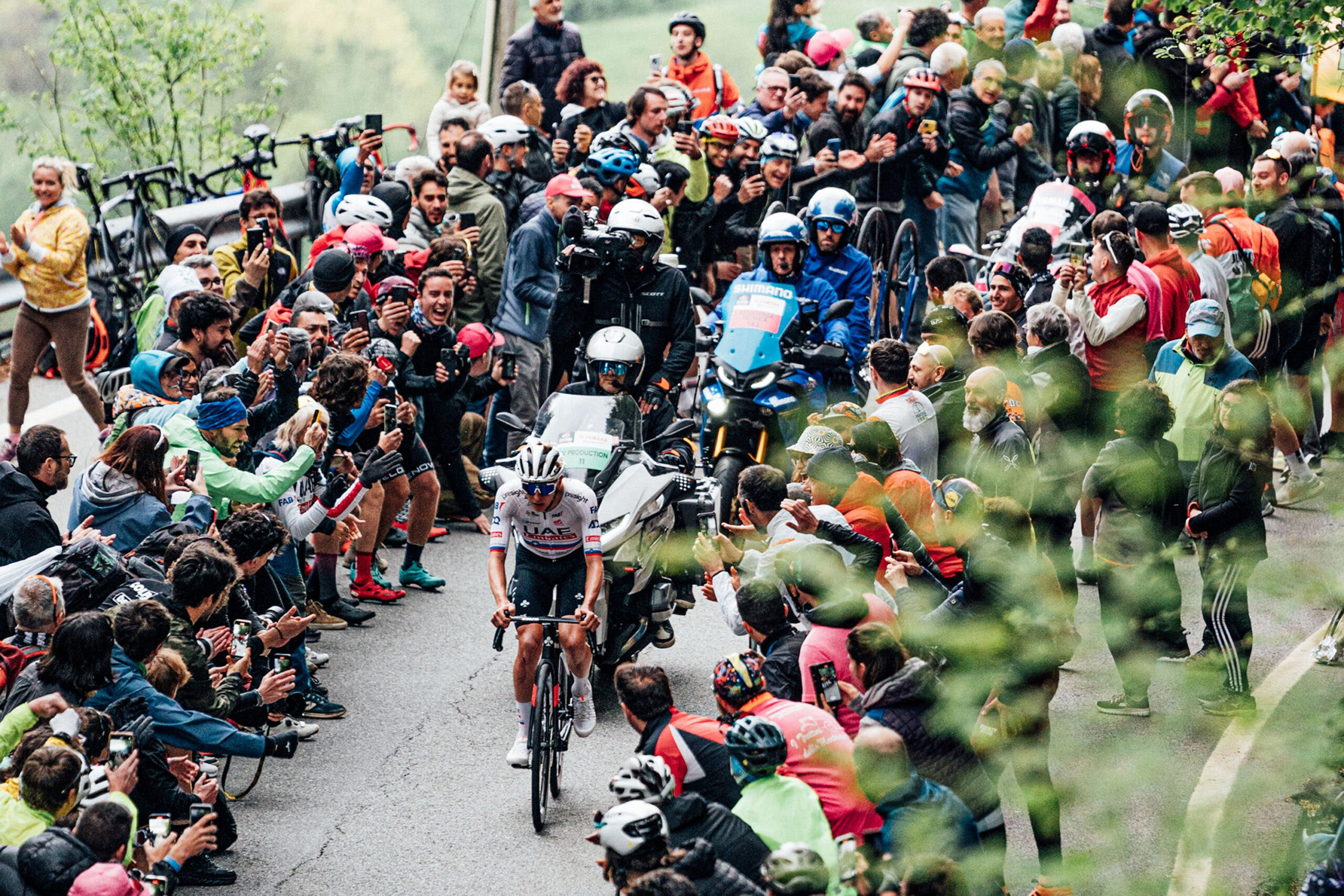 Giro d’Italia, la legge di Pogacar