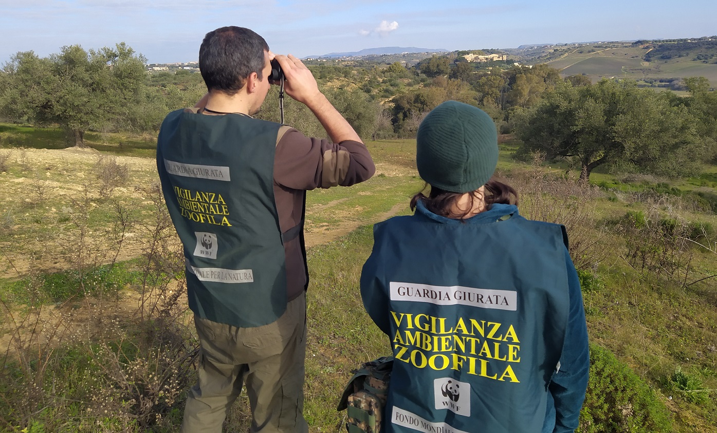 Sparavano ai conigli nonostante la caccia sospesa dal TAR: due cacciatori condannati dal tribunale di Caltanissetta