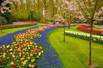 Il Verde in Europa: la crescita dell’importanza dei giardini e le sfide della tecnologia di manutenzione