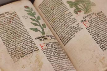 Risolto il mistero del ‘Manoscritto di Voynich’