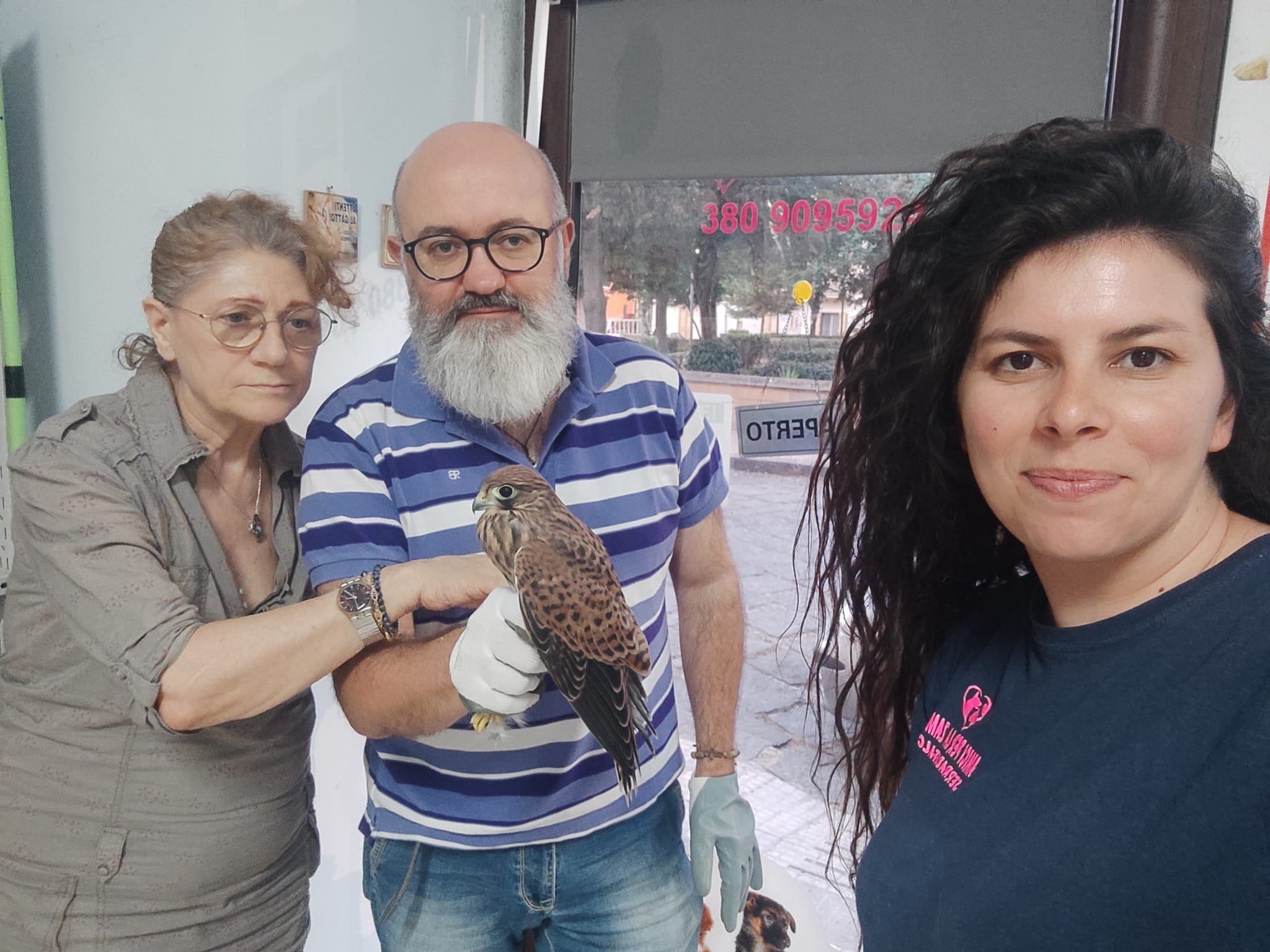WWF Sicilia Centrale. Animali feriti e uccelli caduti dal nido: per i volontari è emergenza
