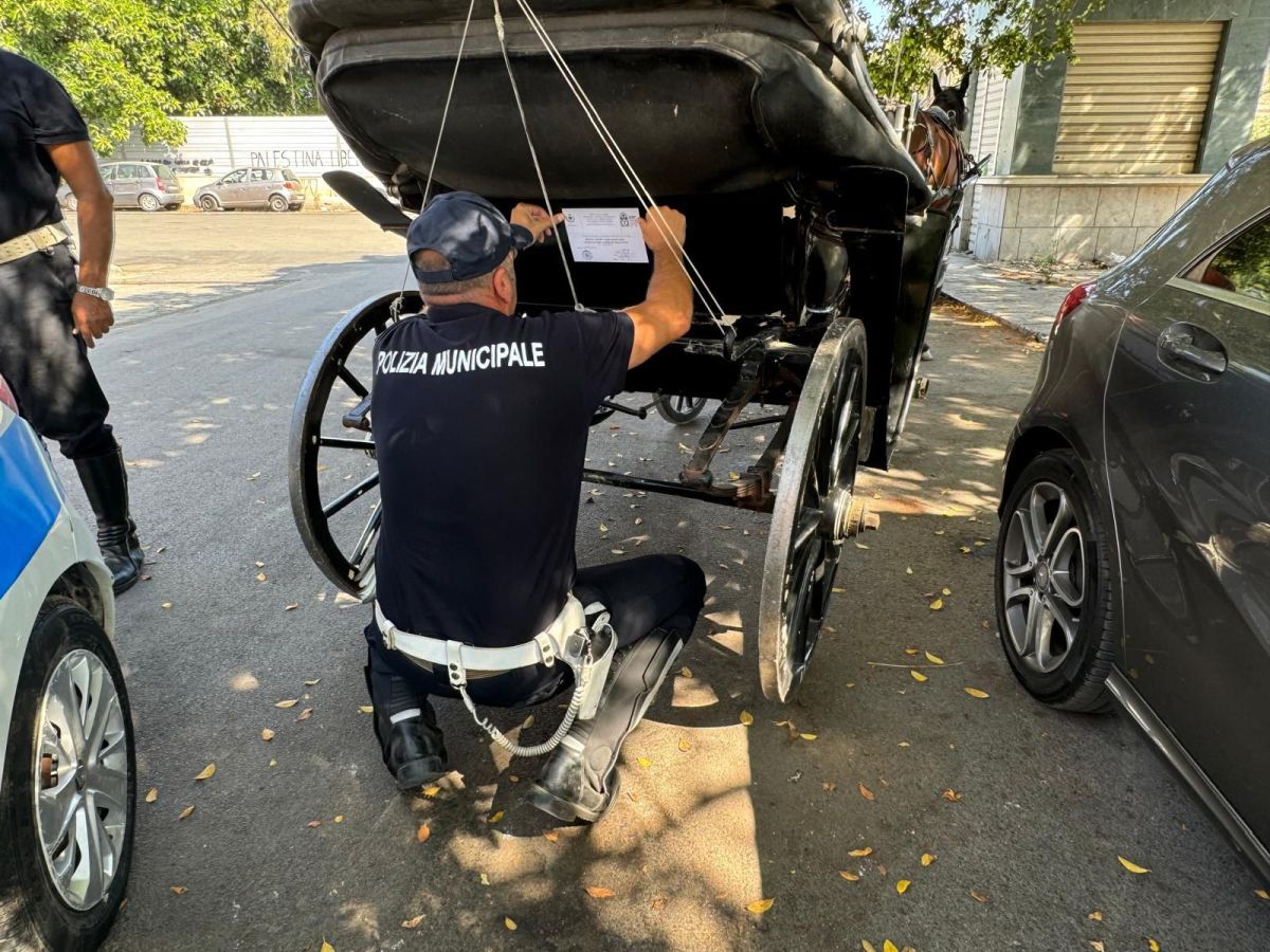 Sequestrata una carrozza a Palermo, Ferrandelli “Attività scrupolosa”