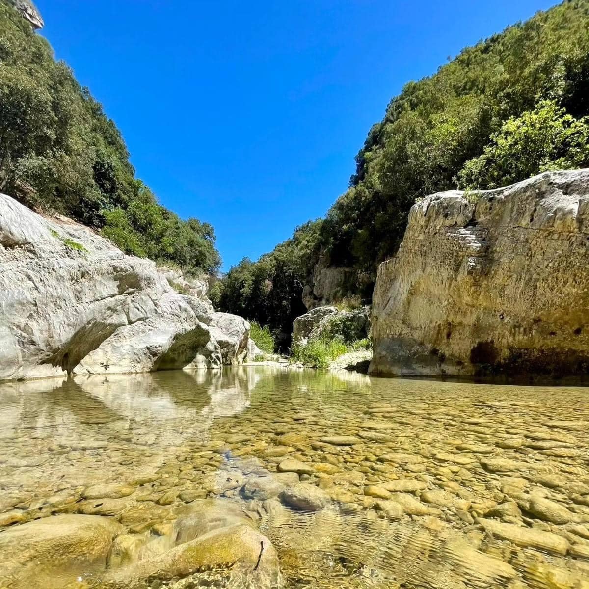 Emergenza idrica. Schifani: “Via libera a finanziamento di 500mila euro, per sistemazione idraulica del Fiume Sosio-Verdura”