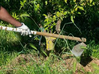 Caporalato, scoperti 33 lavoratori ridotti in schiavitù in provincia di Verona