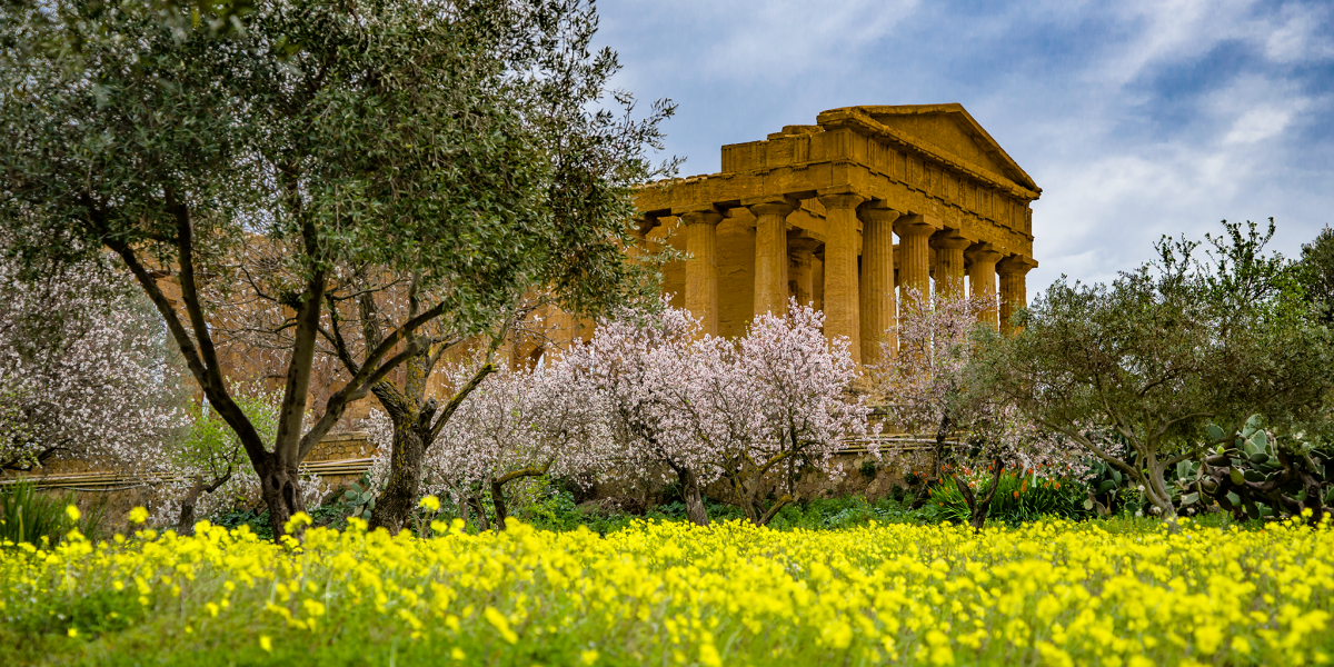 Sicilia. Beni culturali, boom di visitatori nei primi sei mesi del 2024. La soddisfazione dell’assessore regionale Scarpinato