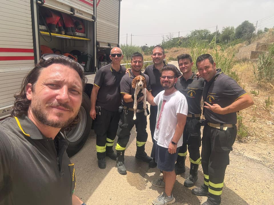 San Cataldo. Giovane mentre passeggia in campagna scopre cagnolino finito in un pozzo: lo salvano i Vigili del Fuoco